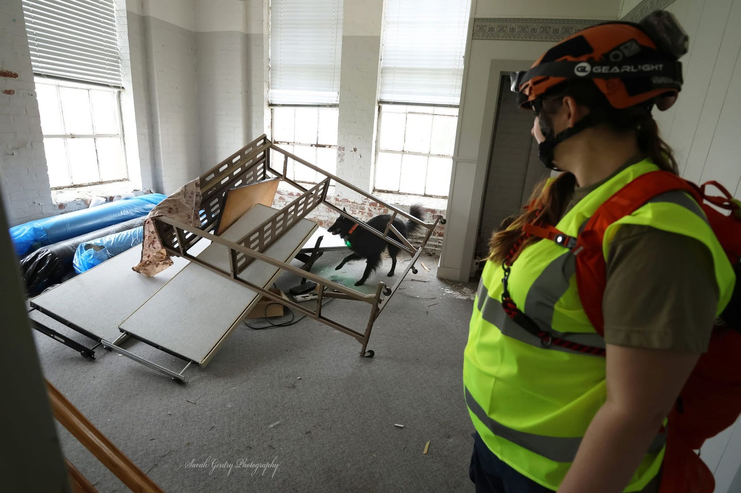 Copy of K9 Dude Room Search.jpg