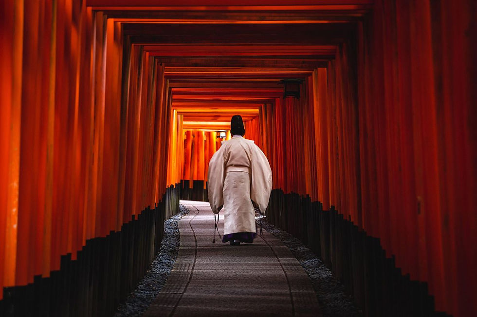 Au milieu des toriis