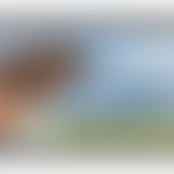 Rima Das: Breaking the stereotypes