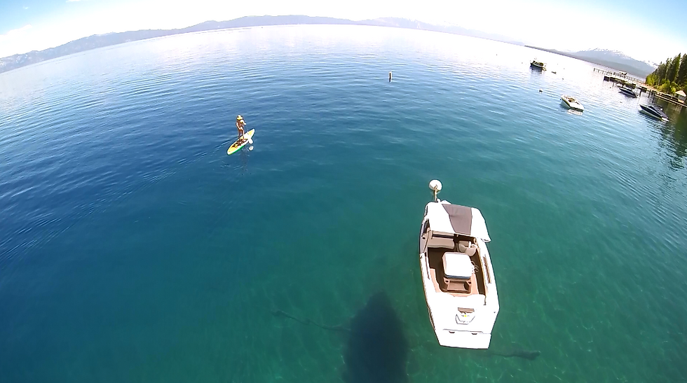 Paddle Board Rental