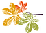 6_edited_edited_edited.png