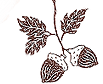 Home page acorn.png