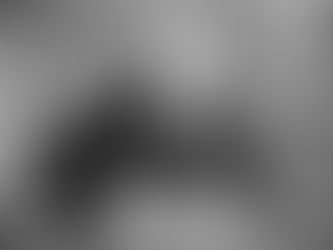 Auctioneers and “the” law versus “that” law