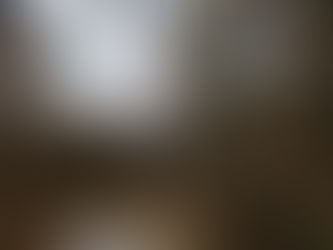 Who is a professional auction seller? Buyer?