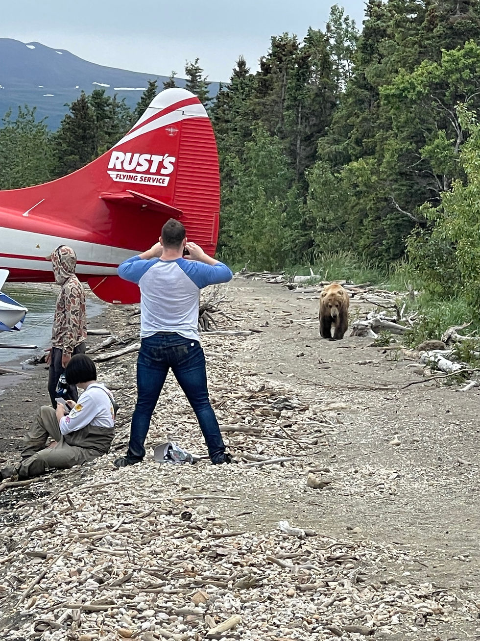 Tail of small airplaine with a bear in the background