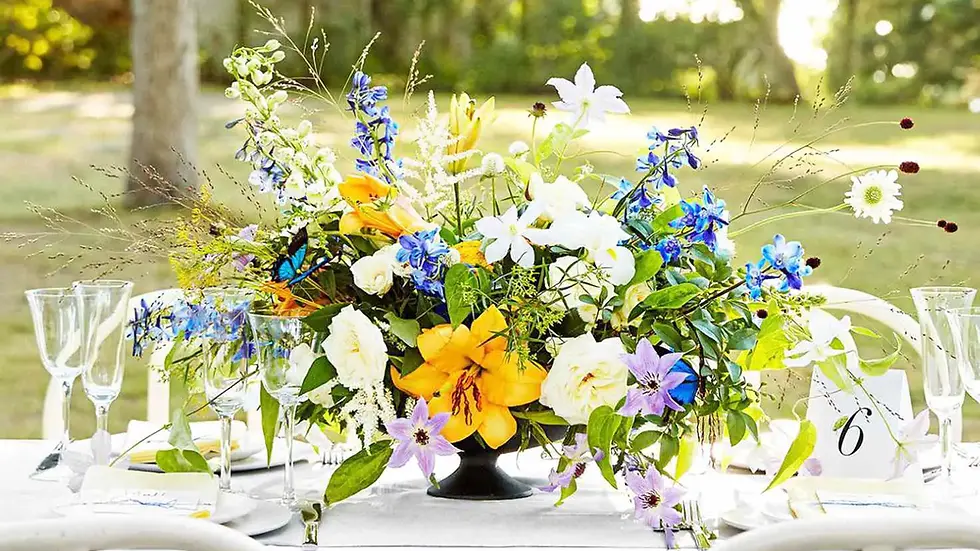 Sustainability With Substance