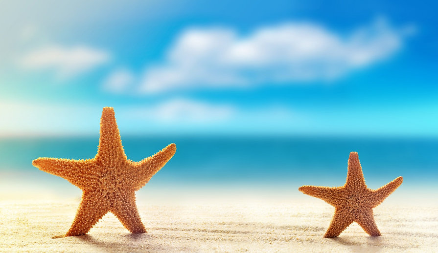 Starfish 3.jpeg