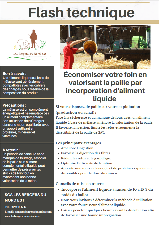 Flash technique – Valoriser la paille en période de sécheresse