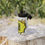 Thumbnail: Stainless Steel Water Bottle, Sports Lid