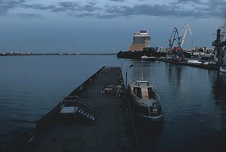 d4 4.jpg