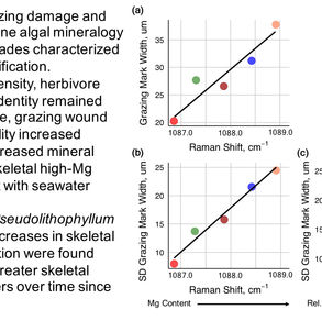New paper out: Coralline algal skeletal mineralogy affects grazing
