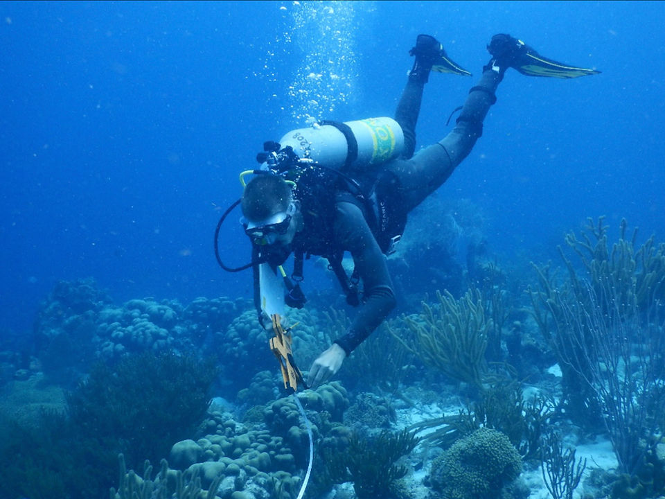 cissell_underwater.001