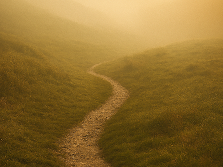 Choosing the Narrow Path: A Reflection on Matthew 7:13–14