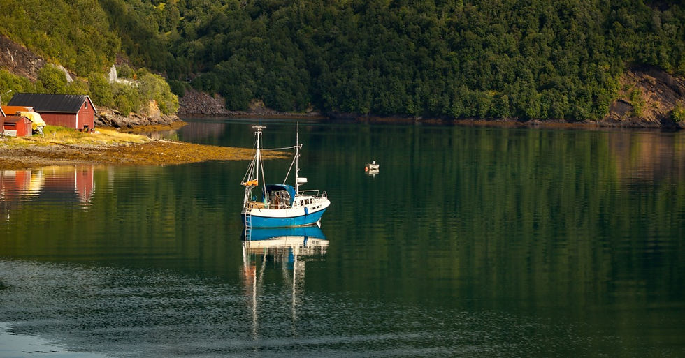 A sailboat travels across calm water surrounded by a densely wooded shoreline and quiet waterfront scenery.