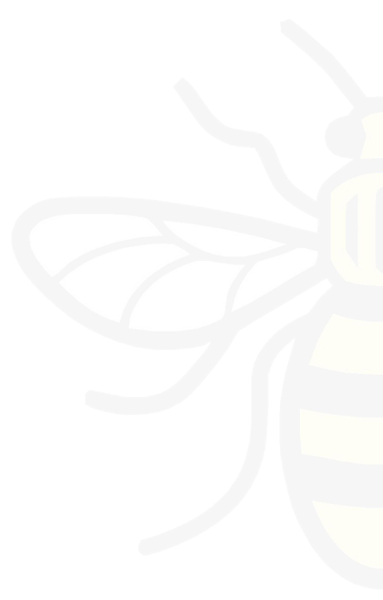 Half Bee3_edited_edited.png