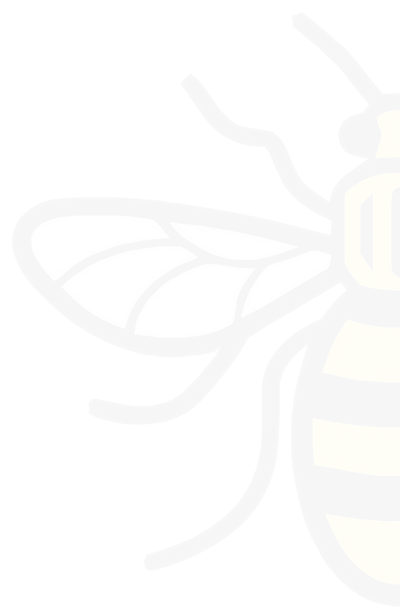 Half Bee3_edited_edited.png