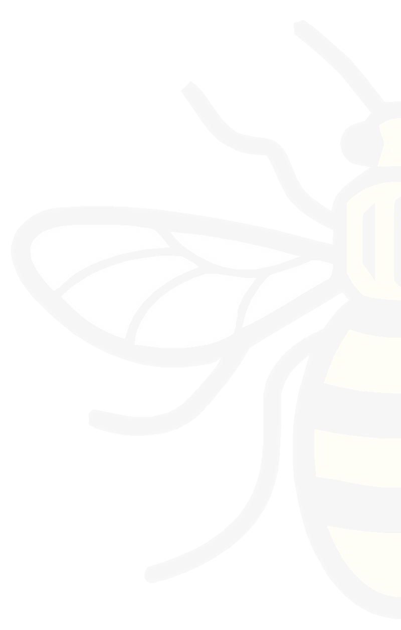 Half Bee3_edited_edited.png