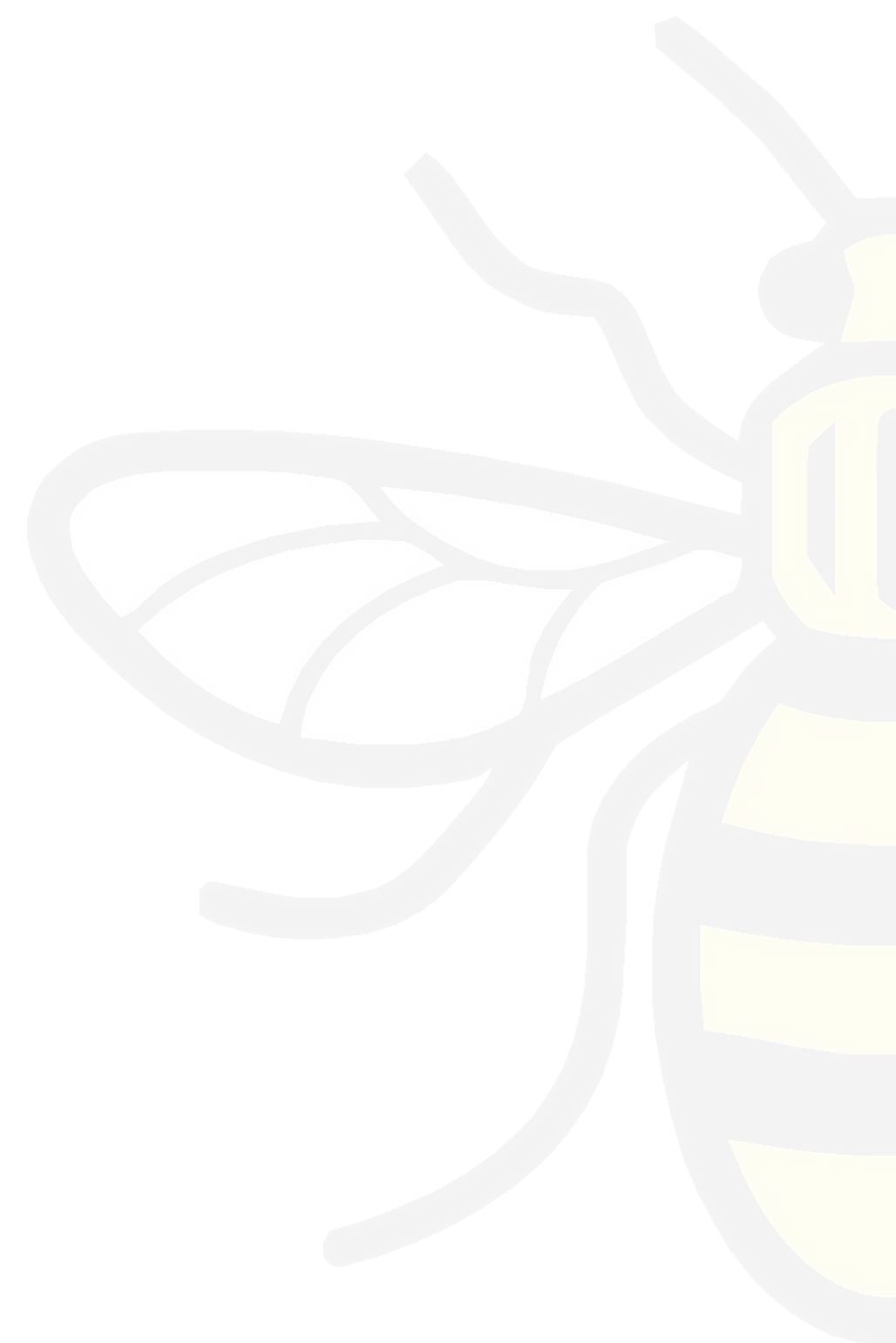 Half%2520Bee3_edited_edited.png