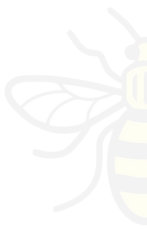 Half%2520Bee3_edited_edited.png
