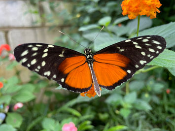 10 At the Beach, Torcross