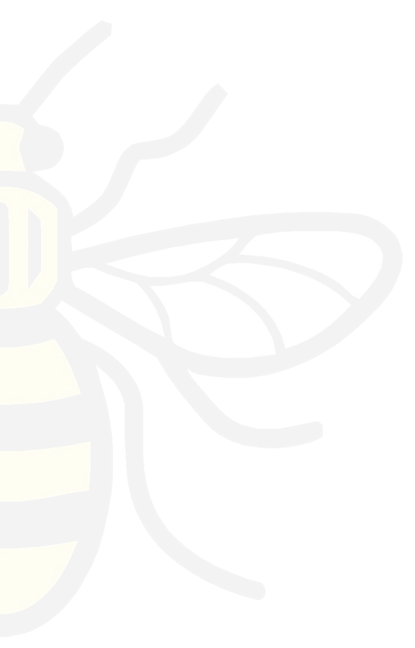 Half%2520Bee2_edited_edited.png
