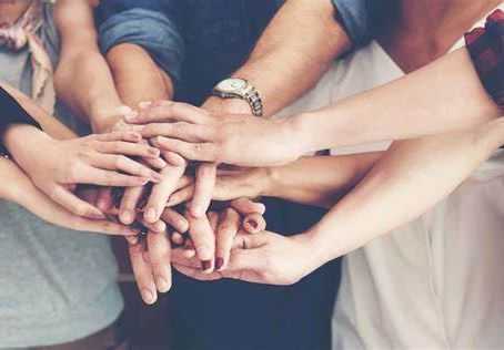 Establishing a Support Team to Address Mental Health Issues.