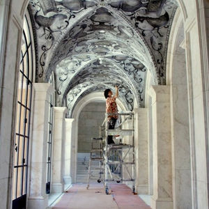 Decorative Painting Over Plaster Finish