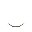 MyPreLoader.gif