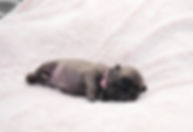 image4.jpeg