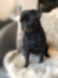 image3.jpeg