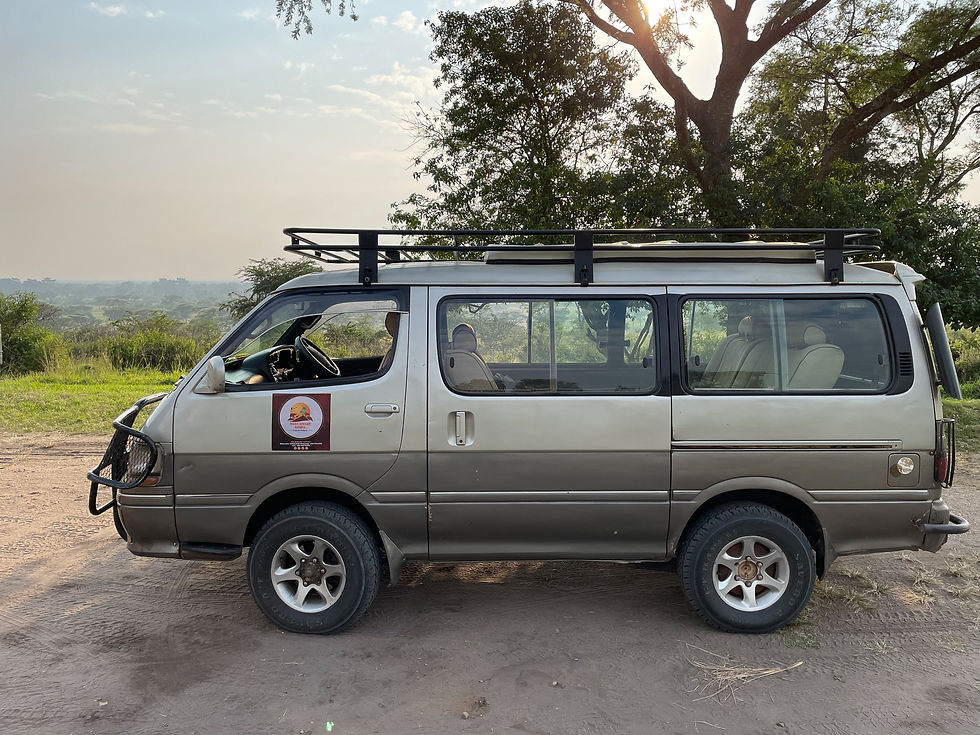 Silver van with roof rack parked on dirt road, sticker on door. Set against a backdrop of trees and open landscape under a partly cloudy sky.