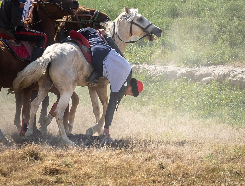 Rider in a red cap leans off a white horse, touching the ground, with other horses in a dusty field.