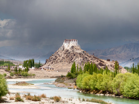 A Day trip from Leh: Monks, Mountains, and My Moral Flexibility