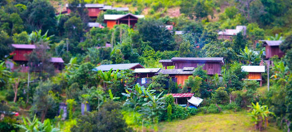Hillside village with wooden houses surrounded by lush greenery and tropical plants, creating a serene and verdant landscape.