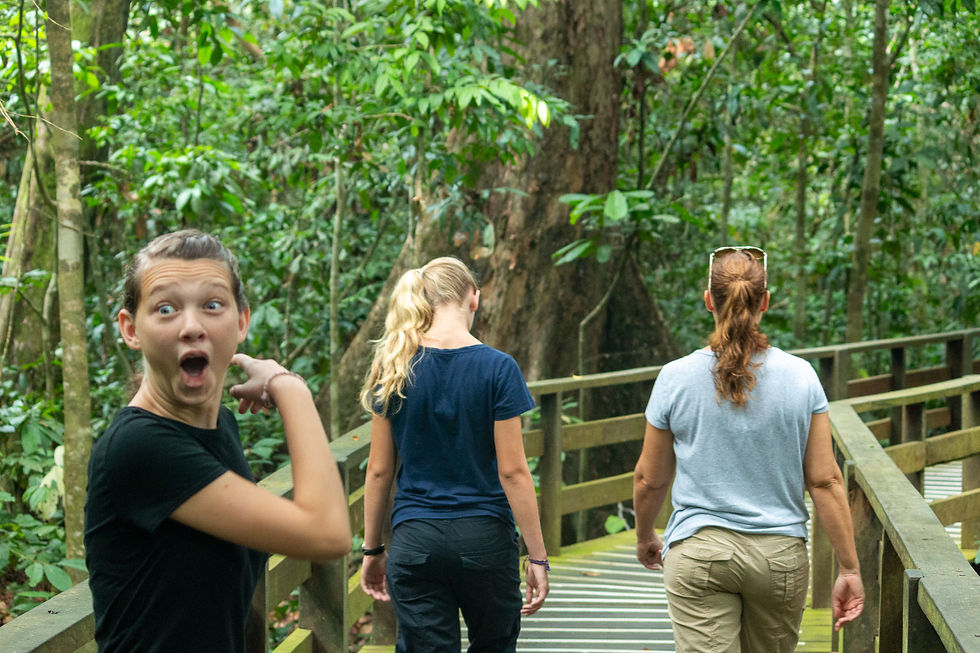 a young girl reacts with glee to spotting an orangutan in Borneo