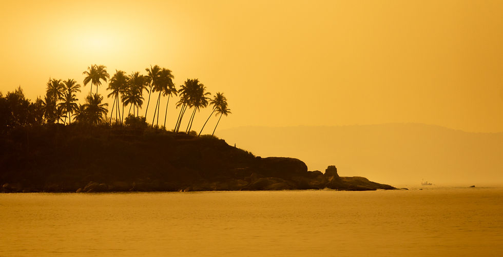Palm trees silhouette against an orange sunset on a coastal hill. Calm sea with distant boat on the horizon, creating a serene mood.