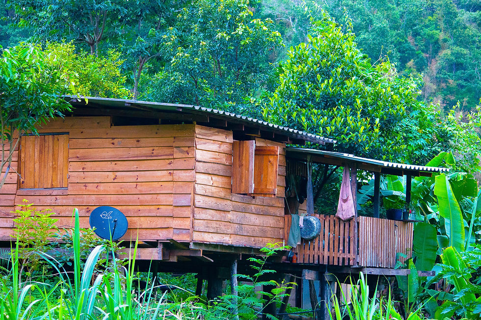 Wooden house on stilts surrounded by lush green trees and plants. A satellite dish is mounted on the side. Peaceful, rural setting.