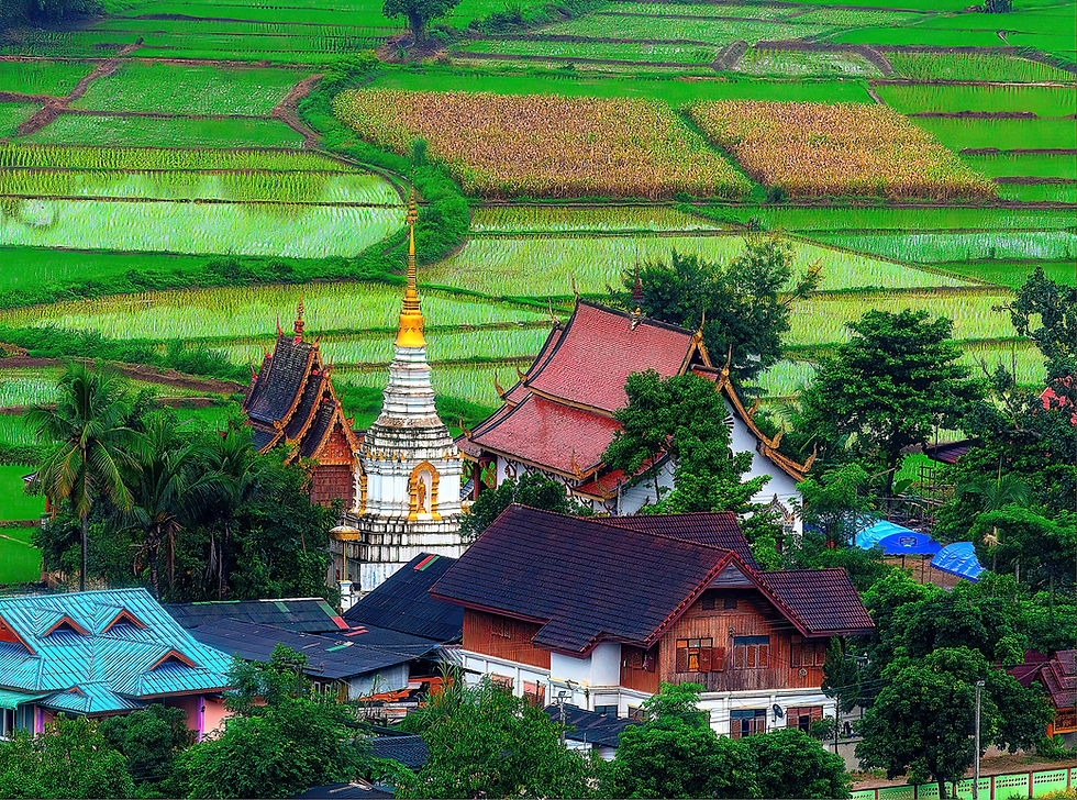 Lush green rice fields surround traditional Thai architecture with ornate roofs and a white and gold stupa, creating a serene landscape.