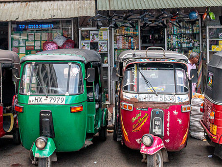 The Downside of Travel in Sri Lanka: Flamingo Balancing Acts, Jewel Scams, and the Fall of Lonely Planet