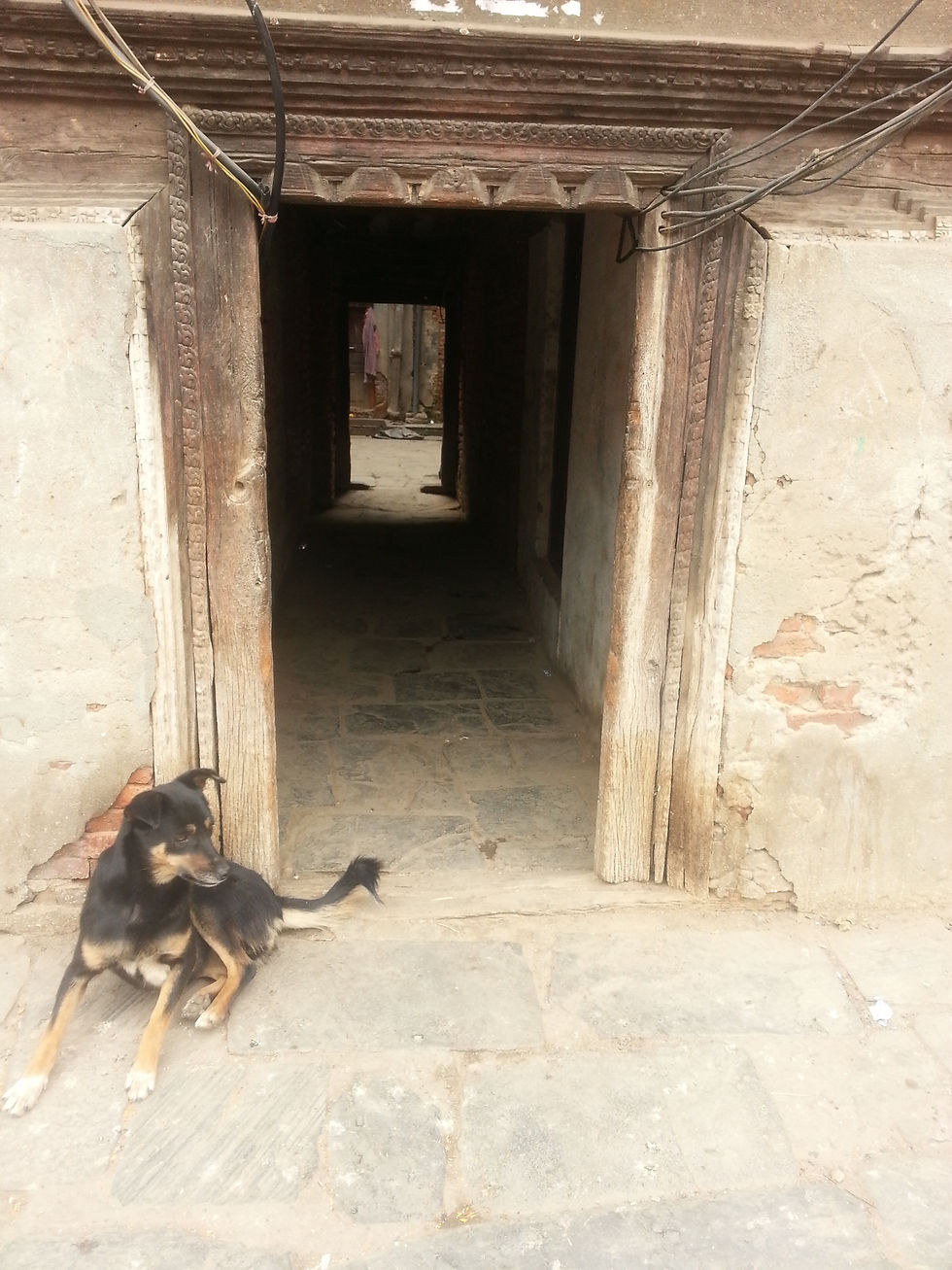 A black and brown dog sits calmly by an ornate wooden doorway, leading to a narrow, dimly lit passageway in an aged stone structure.