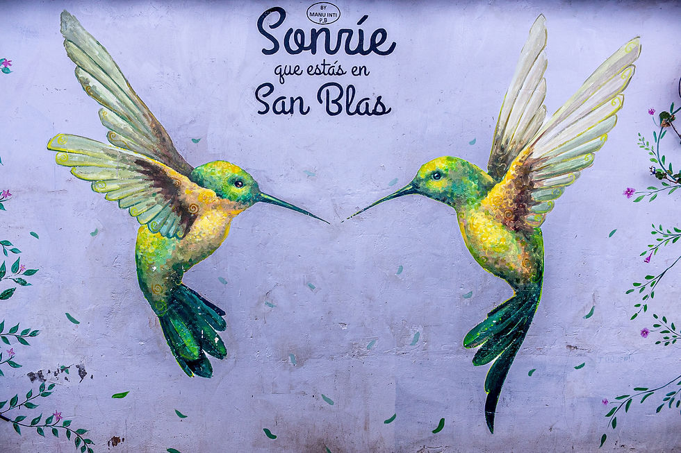Two vibrant hummingbirds face each other on a mural. Text says "Sonríe que estás en San Blás." Colorful leaves adorn the background.