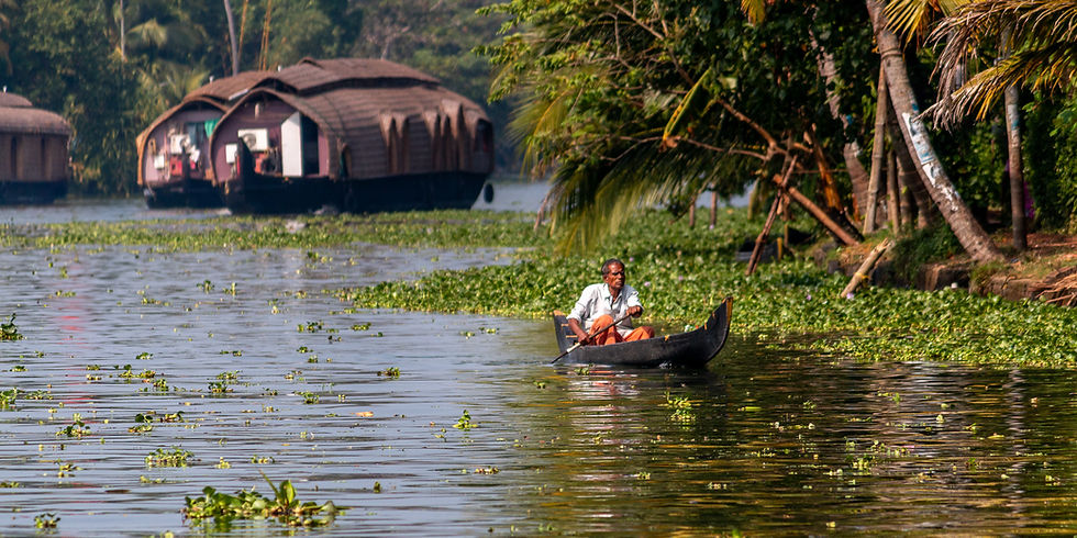 Man rowing a small boat on a waterway, surrounded by greenery and houseboats. Bright, sunny day with lush palm trees in the background.