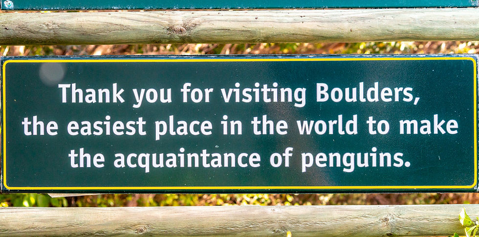 Green sign reads: "Thank you for visiting Boulders, the easiest place in the world to make the acquaintance of penguins." Wood backdrop.