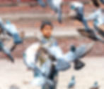 A boy in a striped shirt stands among flying pigeons on a brick-paved area, looking calm. The word "MOT" is visible on his pants.