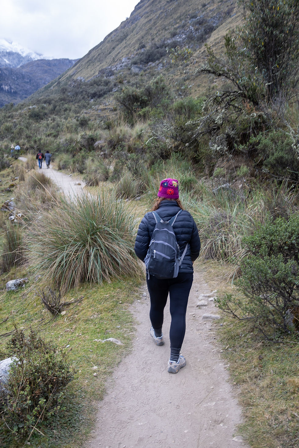 Hiker with backpack and colorful hat on a mountain trail. Greenery and mountains surround them, with others walking ahead. Cloudy sky.