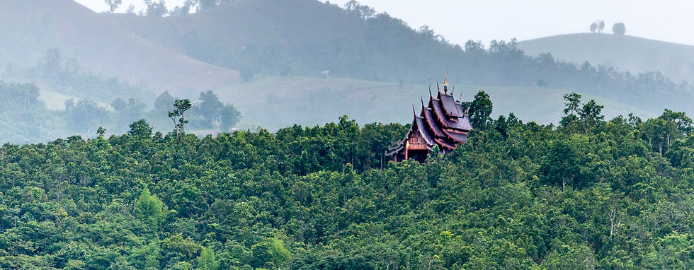A traditional Thai temple with ornate roofs peeks through dense, verdant forest under a misty sky, evoking serenity and isolation.