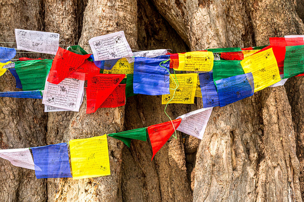 Colorful prayer flags with text hang on a tree trunk. The flags are red, blue, green, yellow, and white, creating a vibrant scene.