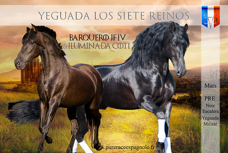 ANNONCE_FOAL_2023_ILUMINADA_BARQUERO.jpg