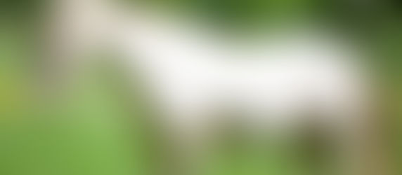 Herbst, Zeit der Entwöhnung...