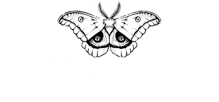 SAGE & HONEY LOGO_edited_edited_edited_e